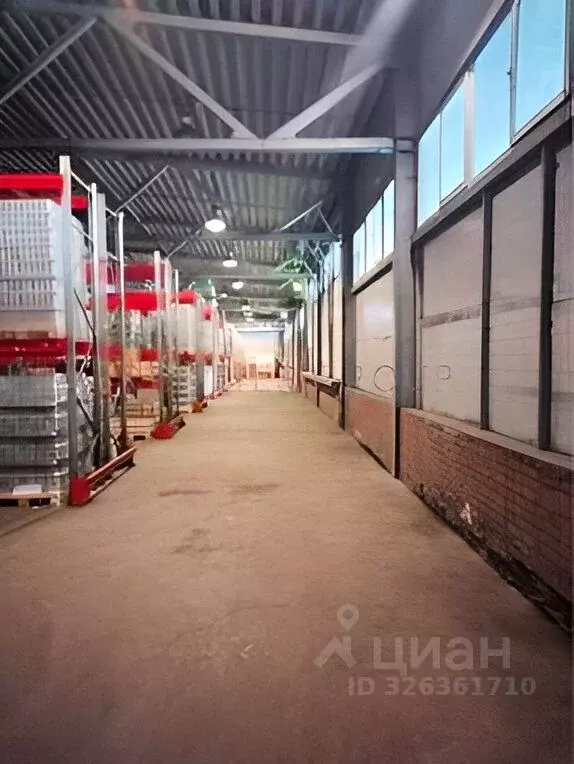 Склад в Московская область, Мытищи городской округ, д. Грибки пер. ... - Фото 1