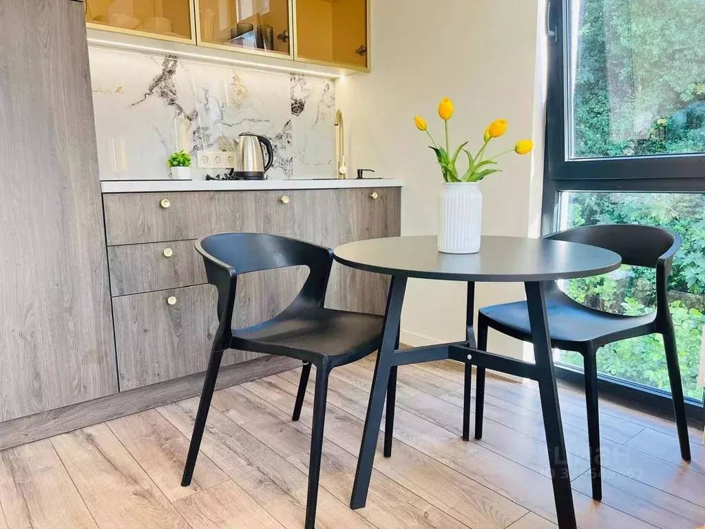 Студия Краснодарский край, Сочи Львовская ул., 76/4 (25.2 м) - Фото 2