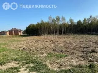 Участок в Московская область, муниципальный округ Чехов, посёлок ... - Фото 1