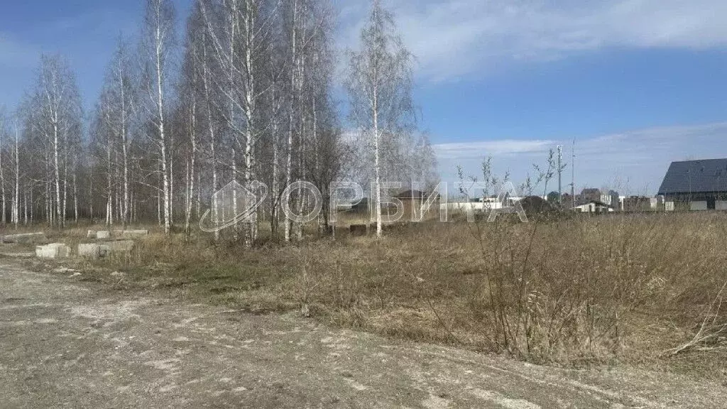 Участок в Тюменская область, Тюменский район, с. Луговое Плодовая ул. ... - Фото 0