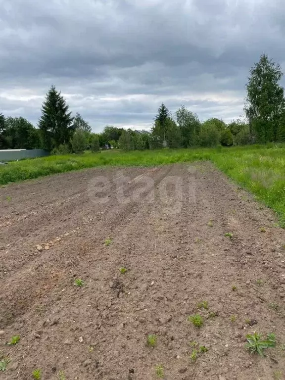 Участок в Вологодская область, д. Княжево 1 (13.0 сот.) - Фото 0