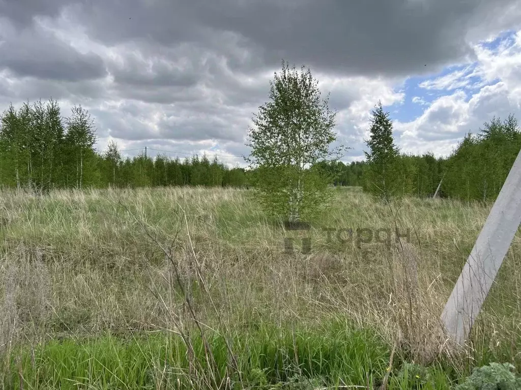 Участок в Челябинская область, Копейский городской округ, пос. ... - Фото 2
