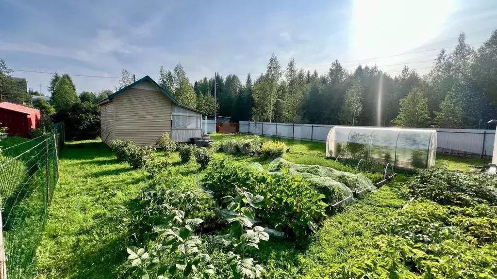 Дом в Архангельская область, Приморский муниципальный округ, ... - Фото 1