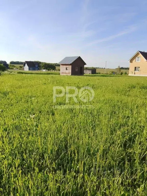 Участок в Ярославская область, Борисоглебский рп  (14.0 сот.) - Фото 2