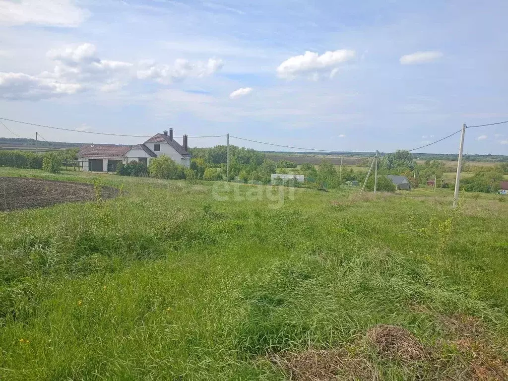 Участок в Воронежская область, Новоусманский район, ... - Фото 1