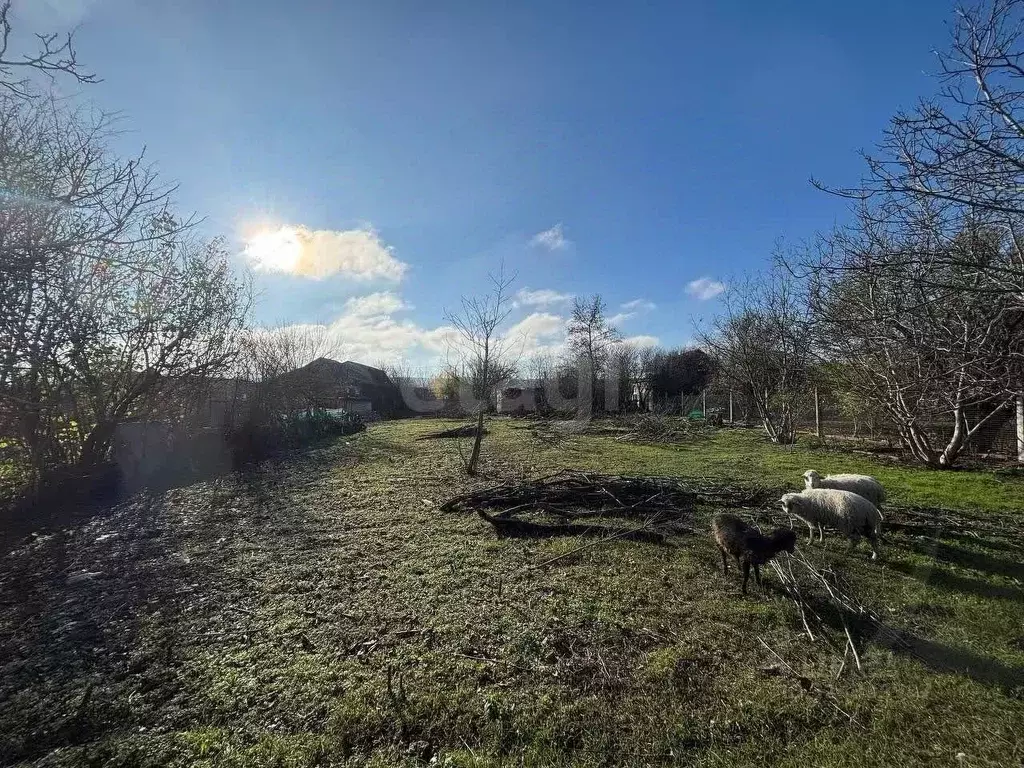 Участок в Крым, Феодосия муниципальный округ, с. Ближнее ул. 1-я ... - Фото 1