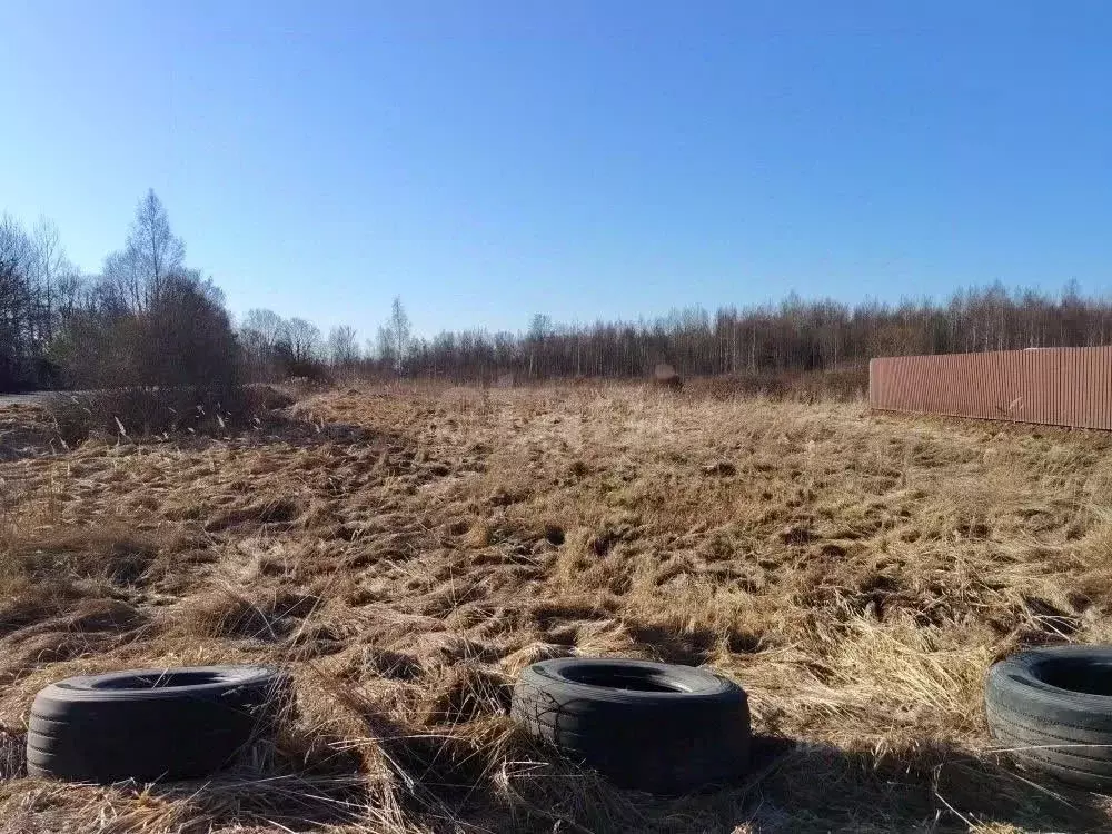 Участок в Псковская область, Псковский район, Писковичская волость, д. ... - Фото 1