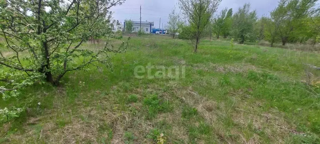 Участок в Воронежская область, Борисоглебск Дорожная ул. (15.6 сот.) - Фото 0