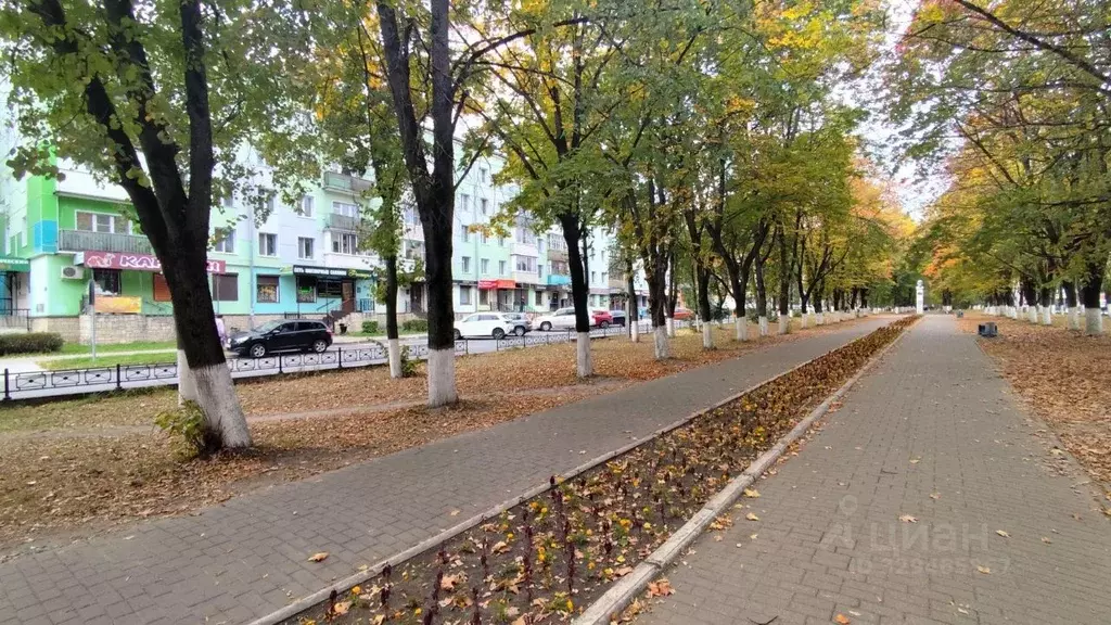 3-к кв. Тверская область, Конаково просп. Ленина, 8 (54.1 м) - Фото 2