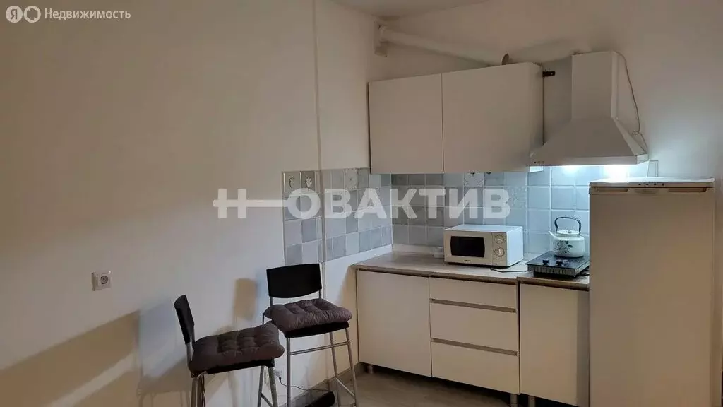 Квартира-студия: Новосибирск, улица Михаила Кулагина, 31 (24.4 м) - Фото 1