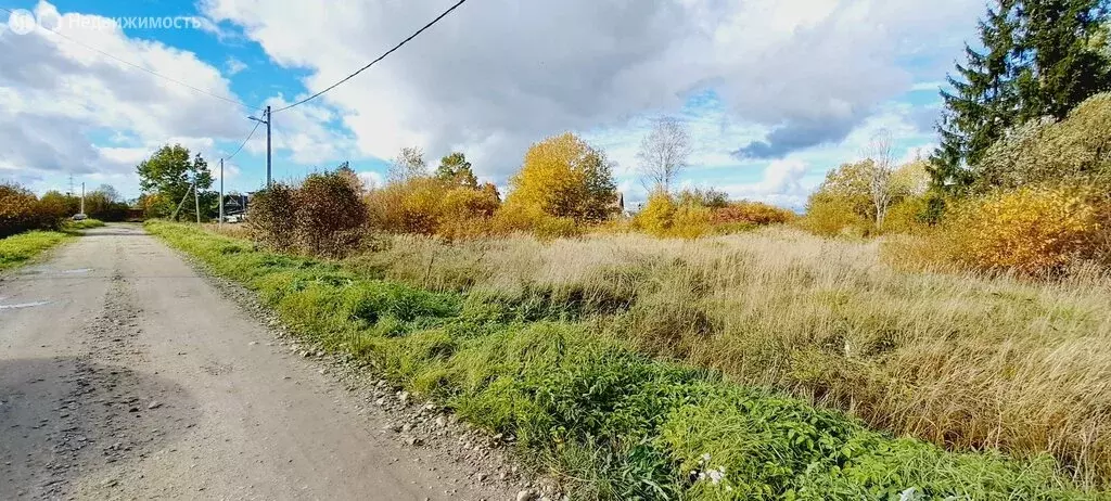 Участок в деревня Бабино, Школьная улица, 4 (20 м) - Фото 0