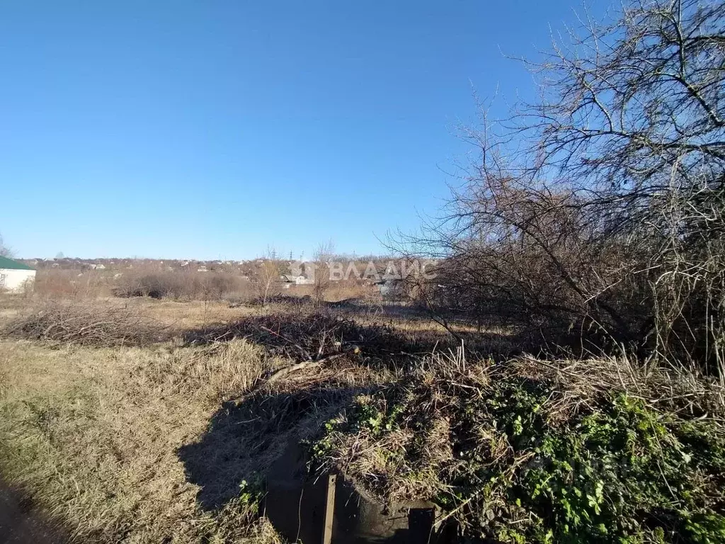 Участок в Воронежская область, Семилукский район, с. Латное ... - Фото 1
