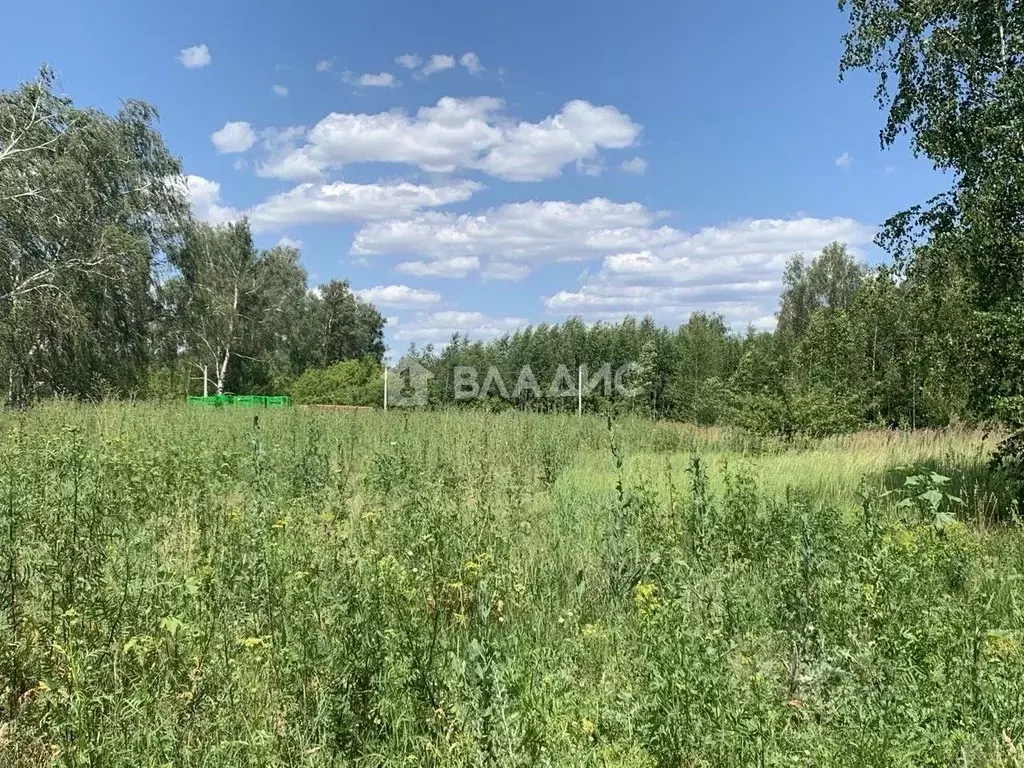 Участок в Воронежская область, Воронеж ул. Славянова, 14 (6.0 сот.) - Фото 0