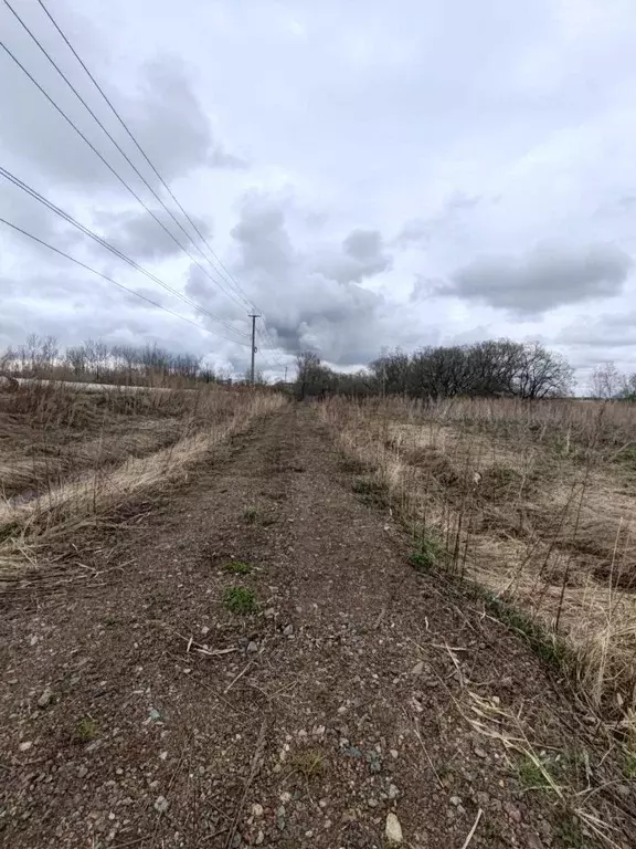Участок в Хабаровский край, Хабаровск пос. Березовка,  (79.6 сот.) - Фото 0