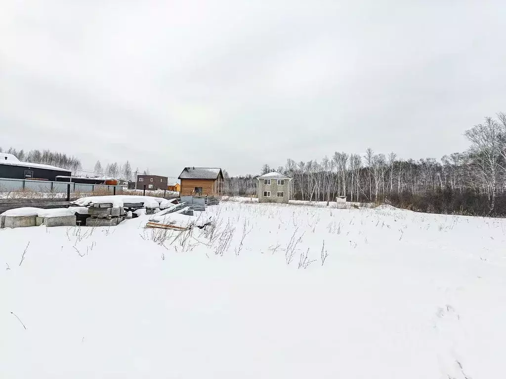 Участок в Новосибирская область, Новосибирский район, Каменский ... - Фото 0