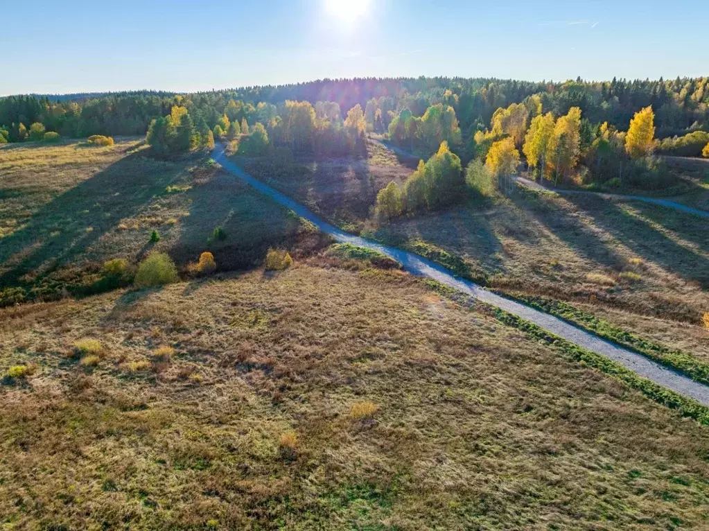 Участок в Карелия, Питкярантский муниципальный округ, пос. Ляскеля, ... - Фото 1