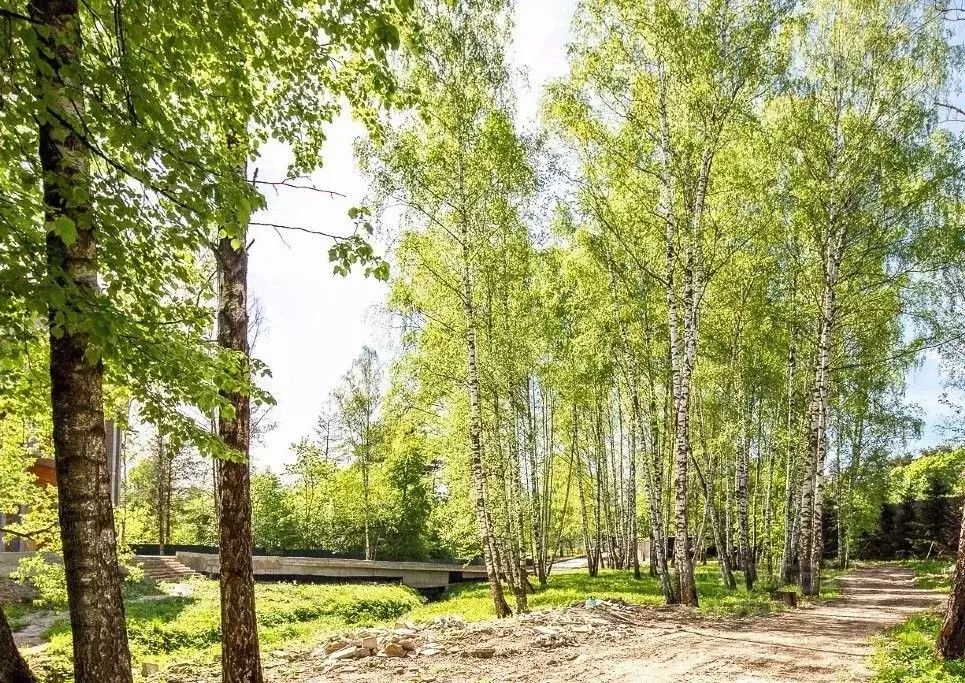 Участок в Московская область, Одинцовский городской округ, с. ... - Фото 0