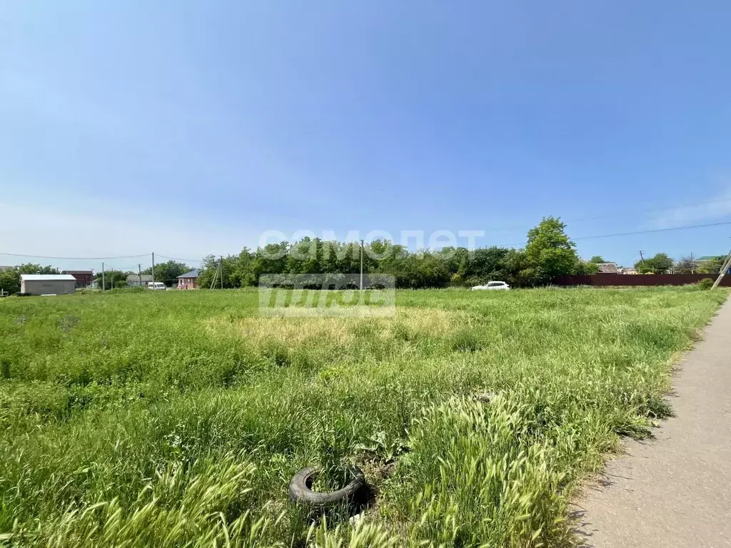 Участок в Краснодарский край, Тимашевский район, Роговское с/пос, ... - Фото 1