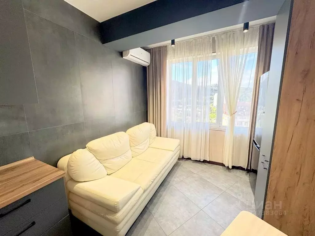 2-к кв. Краснодарский край, Сочи Виноградная ул., 238Г (45.0 м) - Фото 2