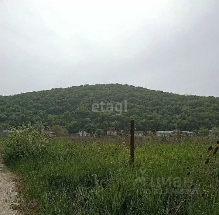 Участок в Краснодарский край, Новороссийск городской округ, Дюрсо СТ  ... - Фото 1