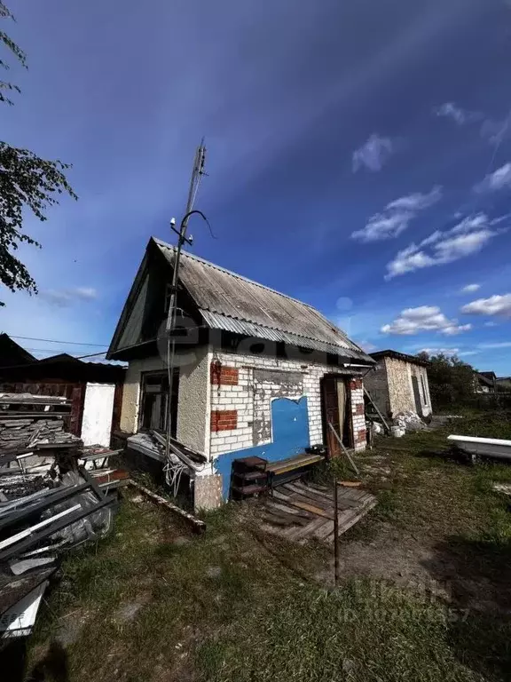 Участок в Тюменская область, Тюмень Энергия садовое товарищество, ул. ... - Фото 0