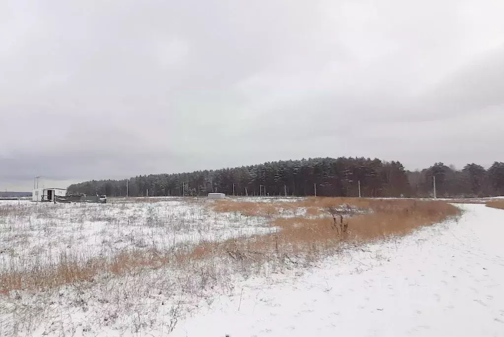 Участок в Брянская область, Брянский район, Новодарковичское с/пос, д. ... - Фото 1