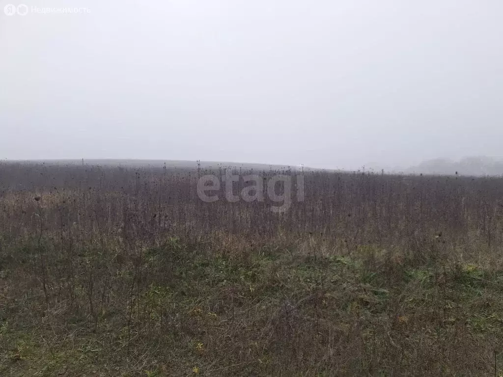 Участок в Плиево, улица Путина (10 м) - Фото 2