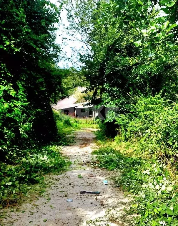 Участок в Краснодарский край, Сочи городской округ, с. Высокое ул. ... - Фото 0