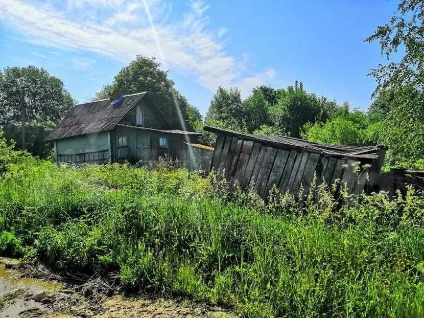 Долгово. Долгово Новгородская область. Деревня Долгово. Долгово Новгородская область жители деревни. Купить дом в Новгородском районе деревня Долгово.