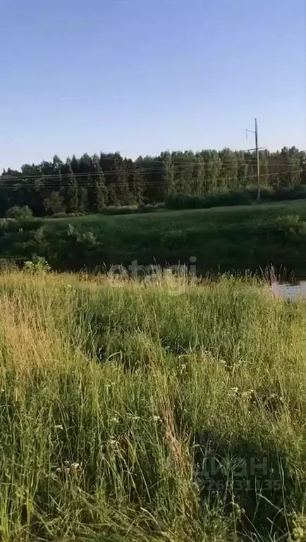 Участок в Ярославская область, Ярославский муниципальный округ, ... - Фото 1