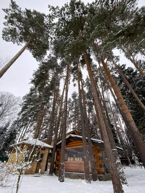 Дом в Владимирская область, Александровский муниципальный округ, ... - Фото 2