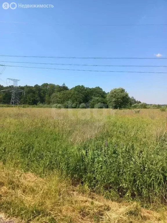 Участок в Холмогоровка, Коралловая улица (6.28 м) - Фото 0