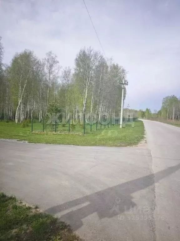 Участок в Новосибирская область, Новосибирский район, Кудряшовский ... - Фото 2