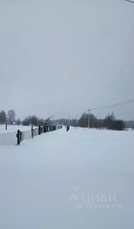 Участок в Московская область, Орехово-Зуевский городской округ, д. ... - Фото 2
