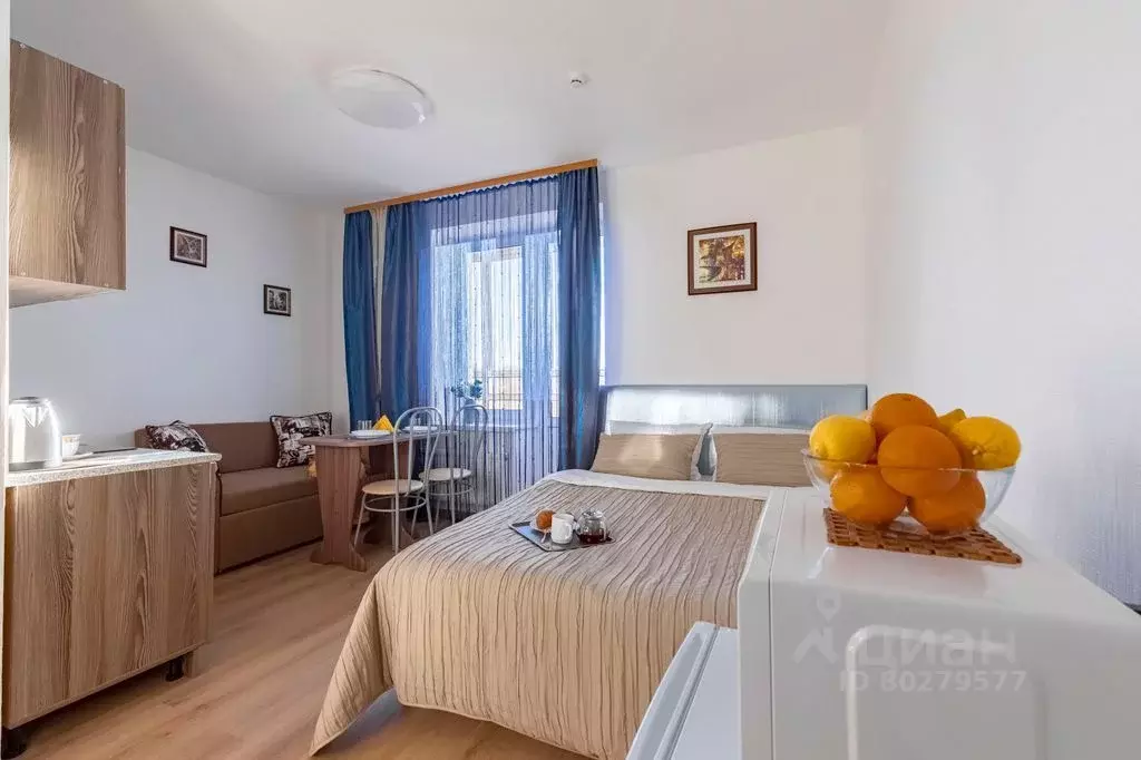 Студия Санкт-Петербург пос. Песочный, Садовая ул., 81 (26.0 м) - Фото 1
