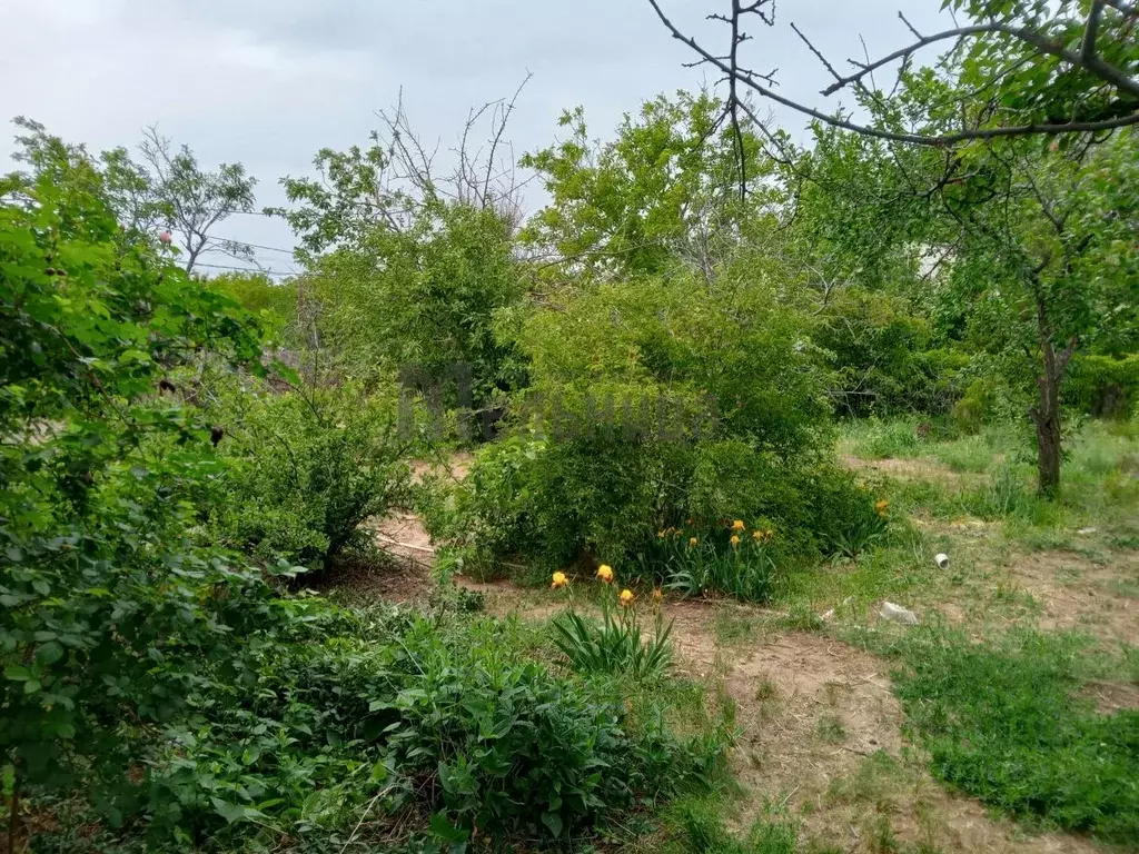 Дом в Волгоградская область, Волгоград Гидростроитель СНТ, ул. 5-я ... - Фото 2