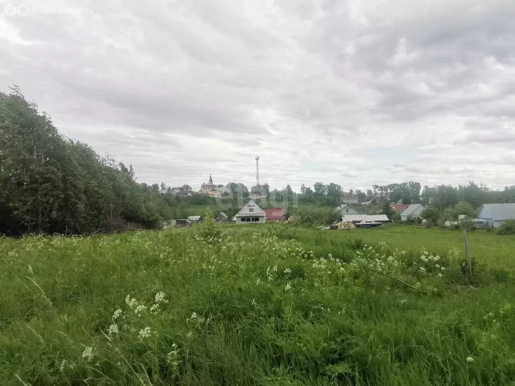 Участок в Вологодская область, Череповецкий муниципальный округ, село ... - Фото 2