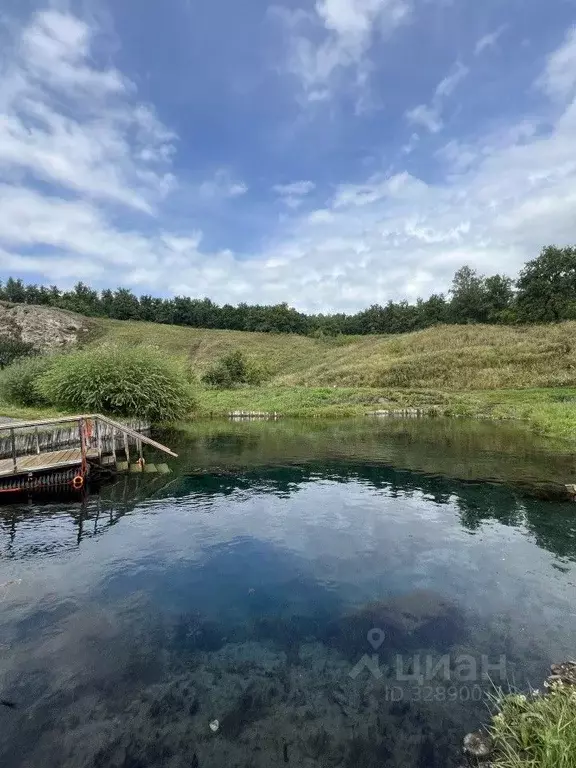 Участок в Башкортостан, Кармаскалинский район, Старомусинский ... - Фото 2