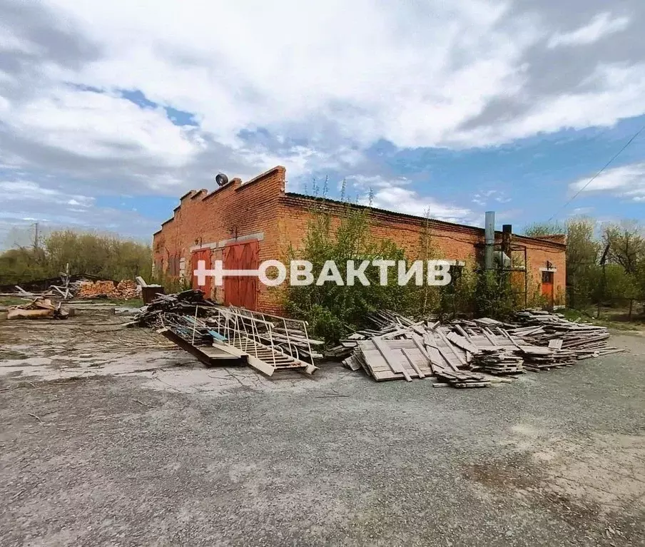 Помещение свободного назначения в Новосибирская область, Тогучин ... - Фото 1