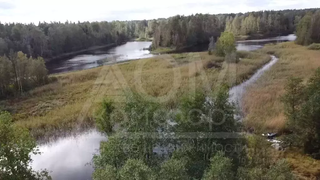 Участок в Ленинградская область, Приозерский район, Мельниковское ... - Фото 2