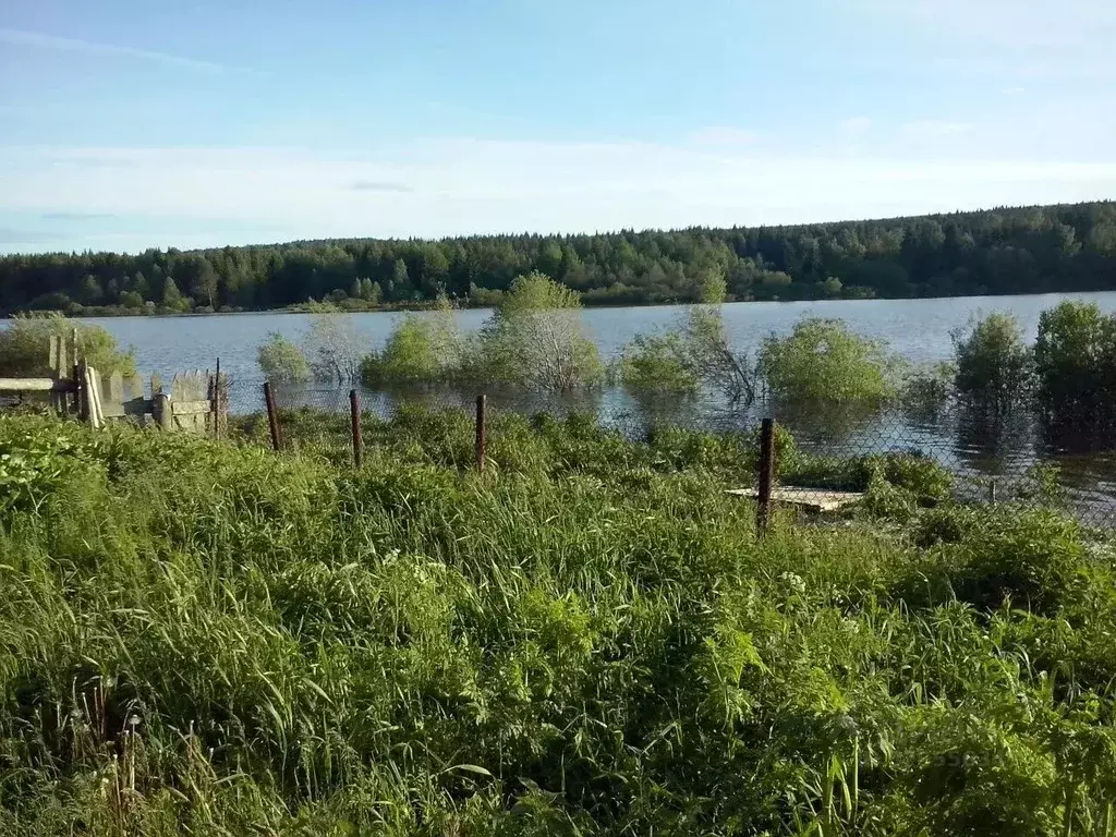 Дом в Свердловская область, Нижний Тагил муниципальный округ, пос. ... - Фото 1