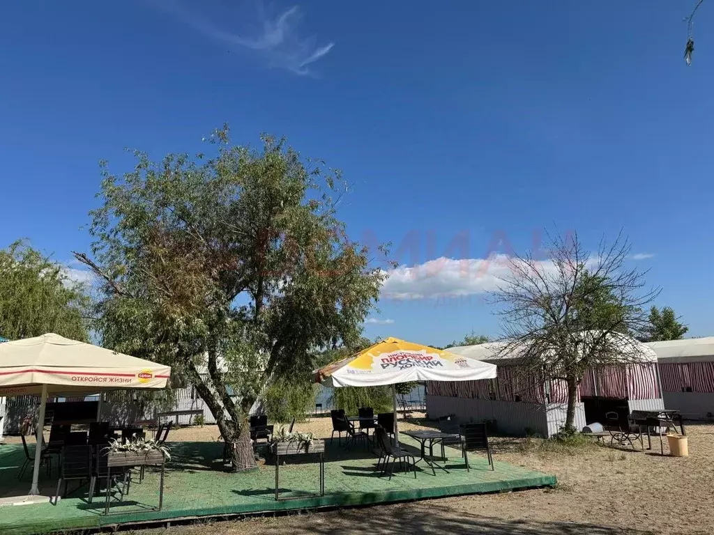 Участок в Ростовская область, Аксайский район, Ольгинская ст-ца ... - Фото 1