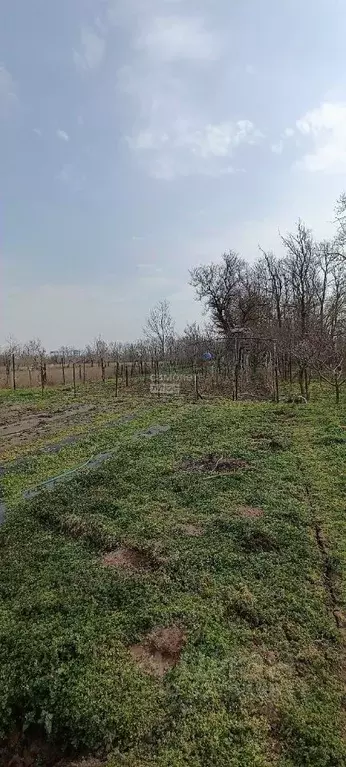 Участок в Краснодарский край, Анапа муниципальный округ, Красный ... - Фото 1