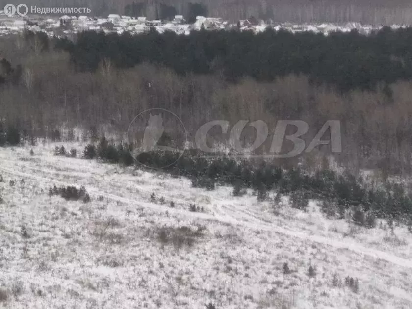 Квартира-студия: Тюмень, улица Вадима Бованенко, 5 (24 м) - Фото 1