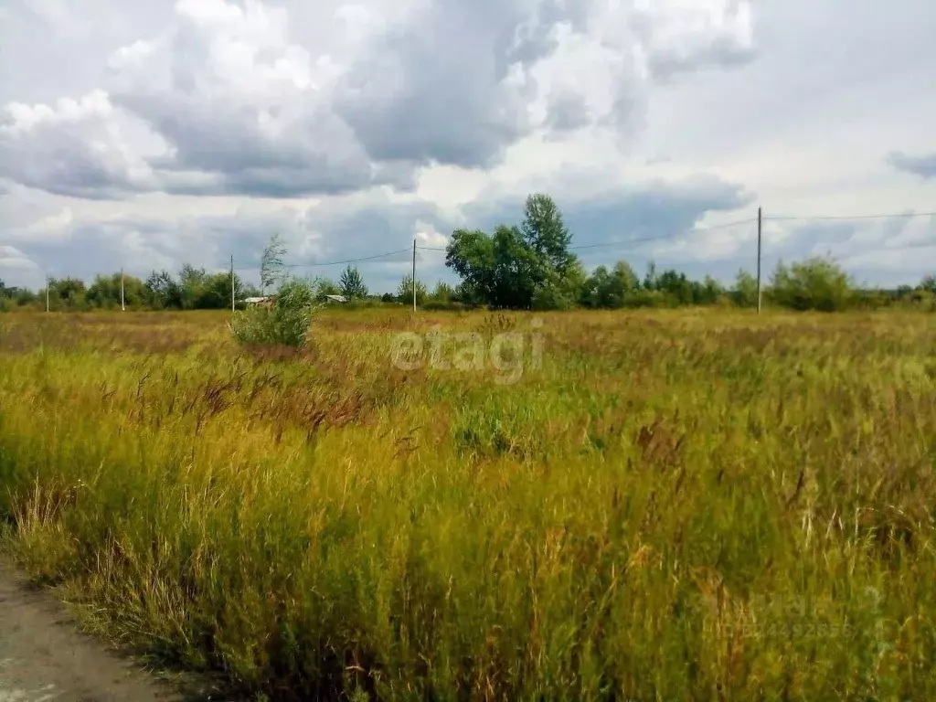 Участок в Курганская область, Курган Датчанка СНТ, 14 (10.0 сот.) - Фото 1