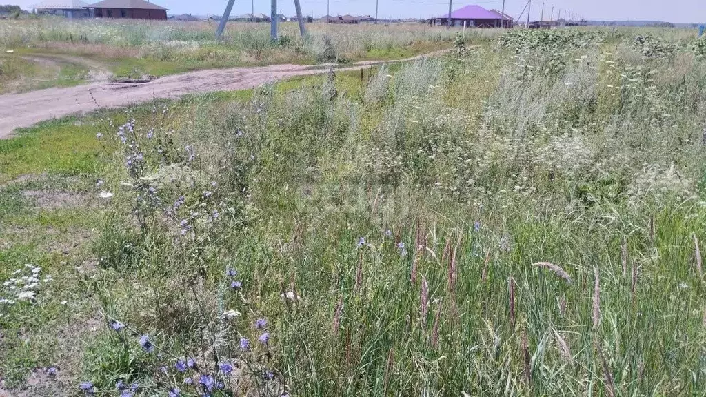 Участок в Белгородская область, Белгородский район, Никольское с/пос, ... - Фото 0