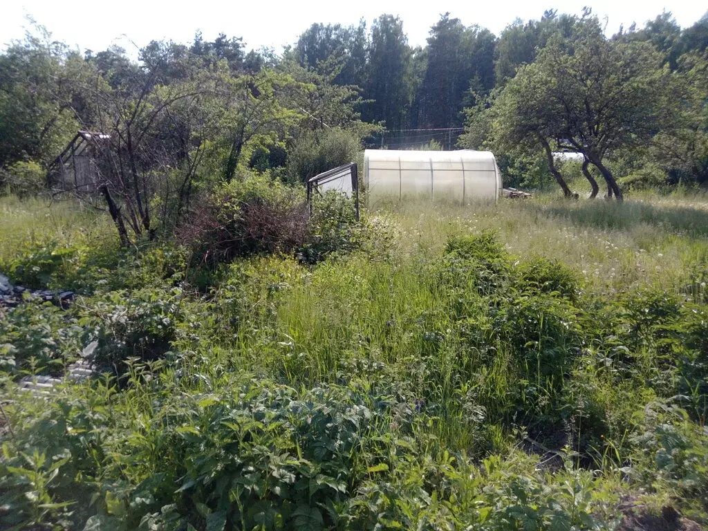 Участок в Екатеринбург, СТ Малый Дачник, 4 (7.36 м) - Фото 0