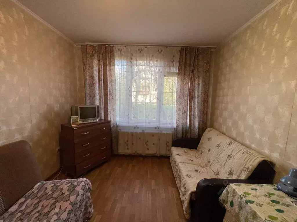 1-к кв. Санкт-Петербург ул. Антонова-Овсеенко, 13К1 (29.2 м) - Фото 1