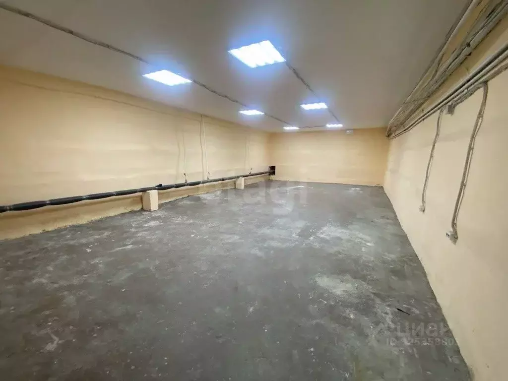 Помещение свободного назначения в Хабаровский край, Хабаровск ул. ... - Фото 1