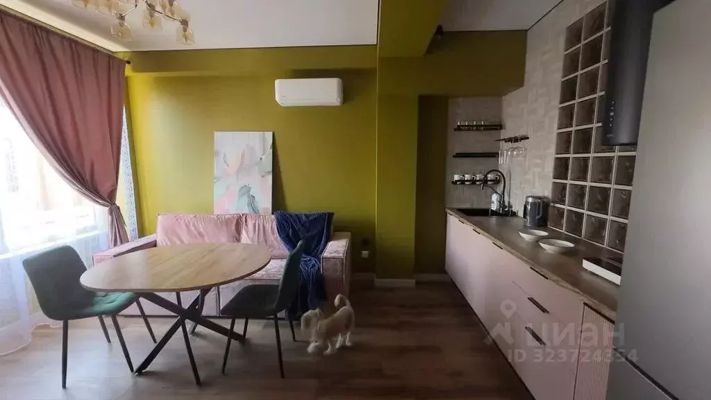 1-к кв. Краснодарский край, Сочи Виноградная ул., 76 (40.0 м) - Фото 2